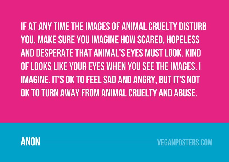 If at any time the images of animal cruelty disturb you, make sure you imagine how scared, hopeless and desperate that animal's eyes must look. Kind of looks like your eyes when you see the images, I imagine. It's OK to feel sad and angry, but it's not OK to turn away from animal cruelty and abuse.