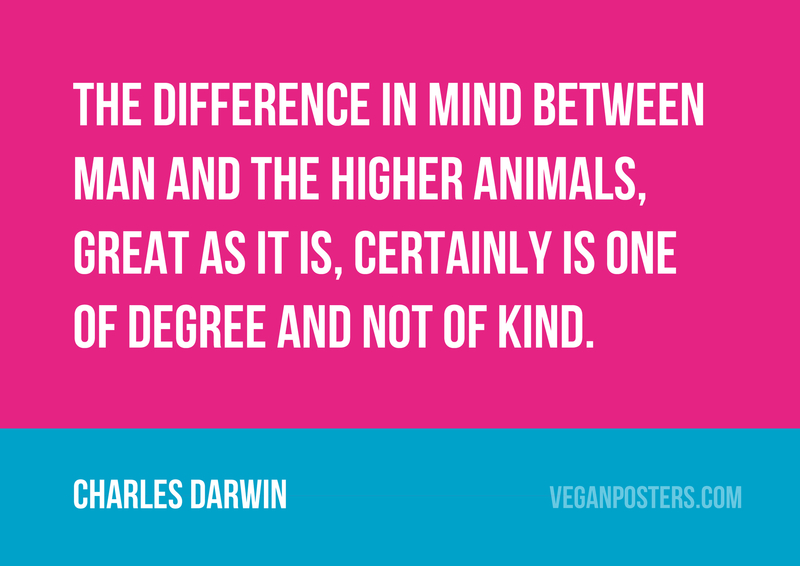 The difference in mind between man and the higher animals, great as it is, certainly is one of degree and not of kind.