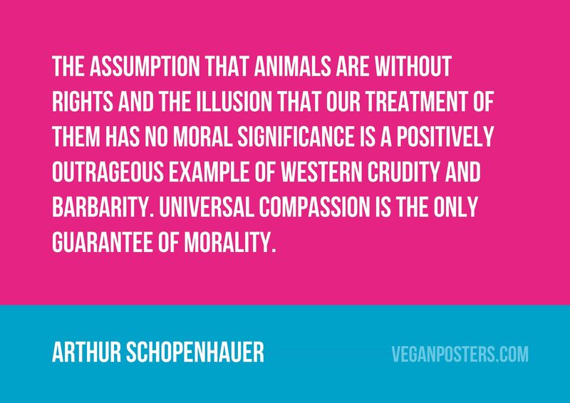 The assumption that animals are without rights and the illusion that our treatment of them has no moral significance is a positively outrageous example of Western crudity and barbarity. Universal compassion is the only guarantee of morality.