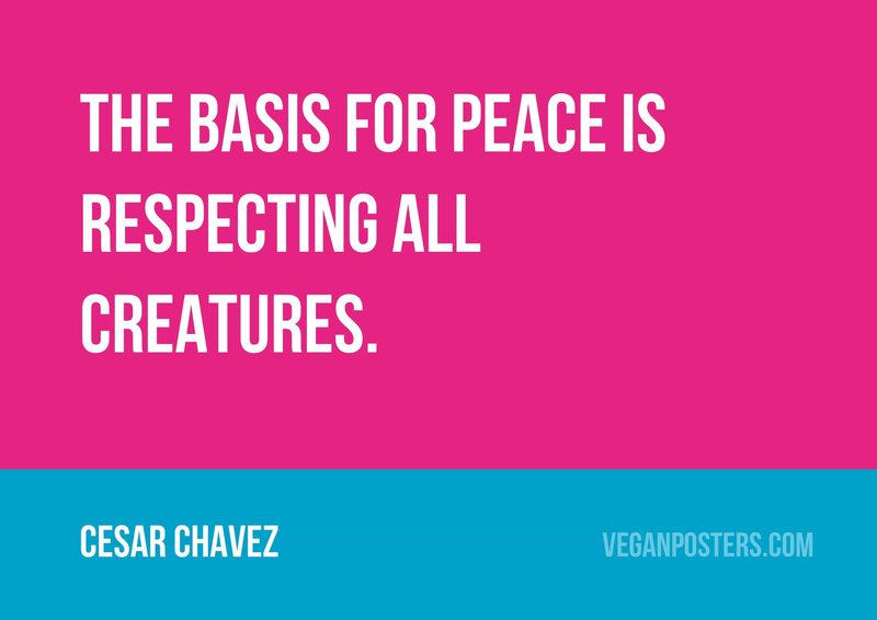 The basis for peace is respecting all creatures.