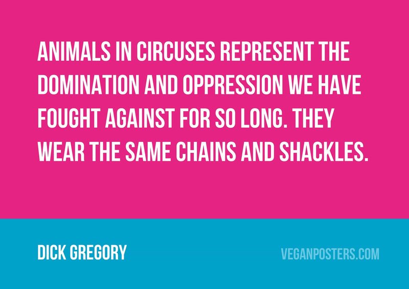 Animals in circuses represent the domination and oppression we have fought against for so long. They wear the same chains and shackles.