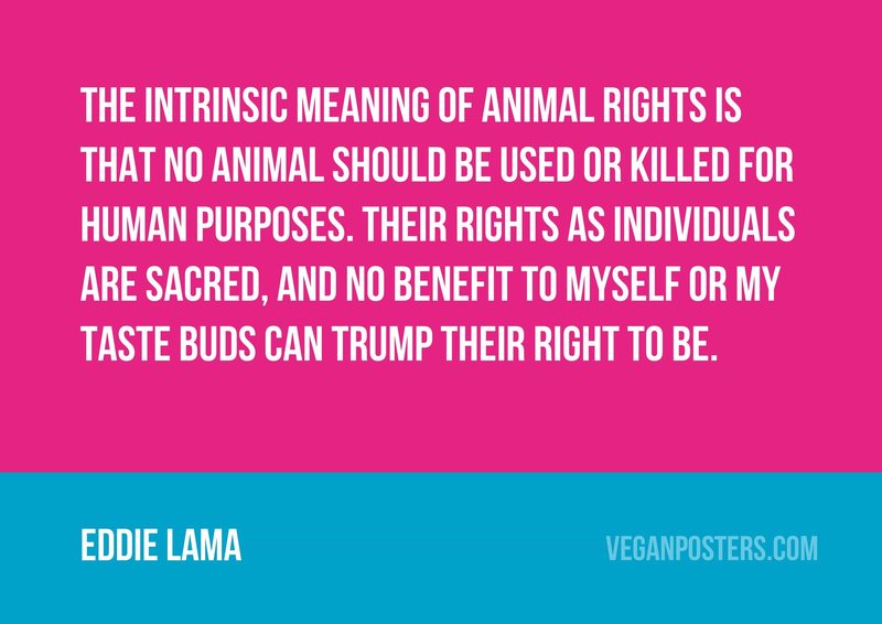 The intrinsic meaning of animal rights is Vegan Posters