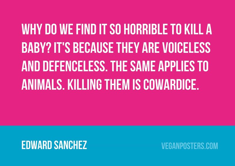 Why do we find it so horrible to kill a baby? It's because they are voiceless and defenceless. The same applies to animals. Killing them is cowardice.