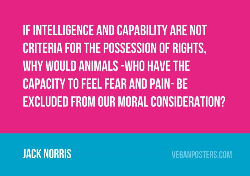 If intelligence and capability are not criteria for the possession of rights, why would animals -who have the capacity to feel fear and pain- be excluded from our moral consideration?