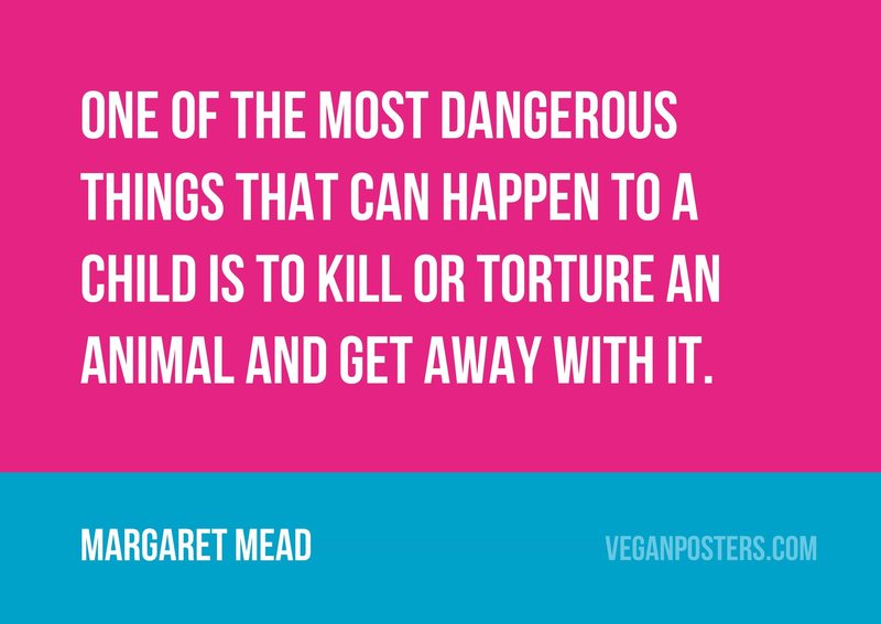One of the most dangerous things that can happen to a child is to kill or torture an animal and get away with it.