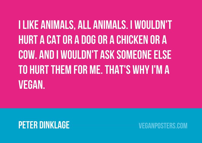 I like animals, all animals. I wouldn't hurt a cat or a dog or a chicken or a cow. And I wouldn't ask someone else to hurt them for me. That's why I'm a vegan.