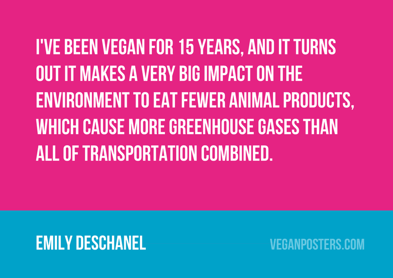 I've been vegan for 15 years, and it turns out it makes a very big impact on the environment to eat fewer animal products, which cause more greenhouse gases than all of transportation combined.