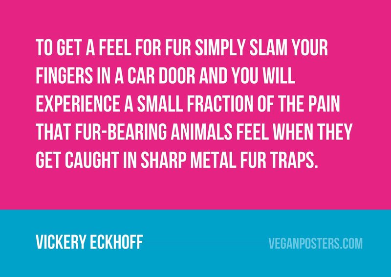 To get a feel for fur simply slam your fingers in a car door and you will experience a small fraction of the pain that fur-bearing animals feel when they get caught in sharp metal fur traps.