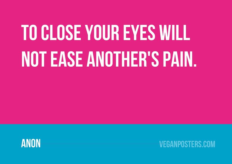 To close your eyes will not ease another's pain.