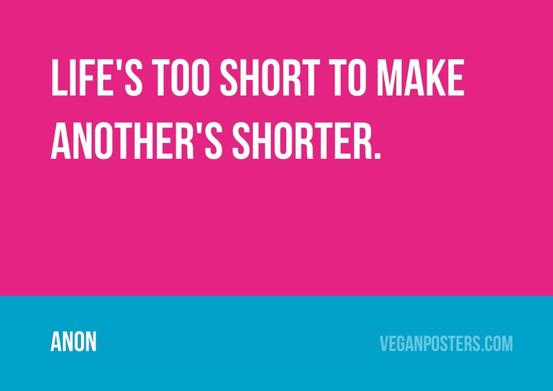 Life's too short to make another's shorter.