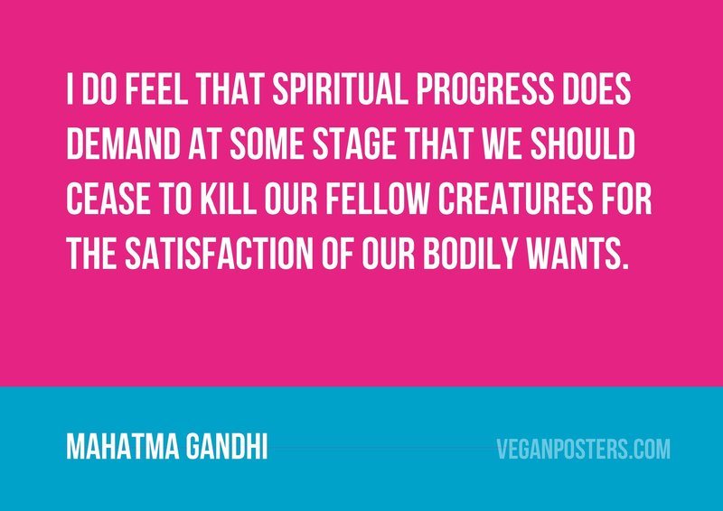 I do feel that spiritual progress does demand at some stage that we should cease to kill our fellow creatures for the satisfaction of our bodily wants.