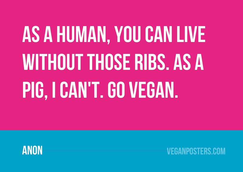 As a human, you can live without those ribs. As a pig, I can't. Go vegan.