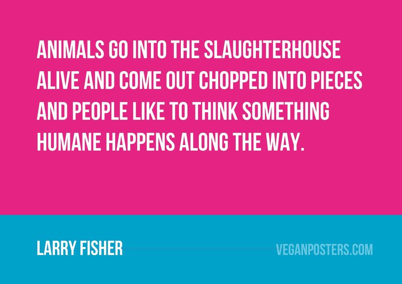 Animals go into the slaughterhouse alive and | Vegan Posters