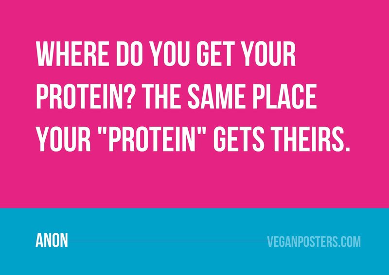 Where do you get your protein? The same place your "protein" gets theirs.