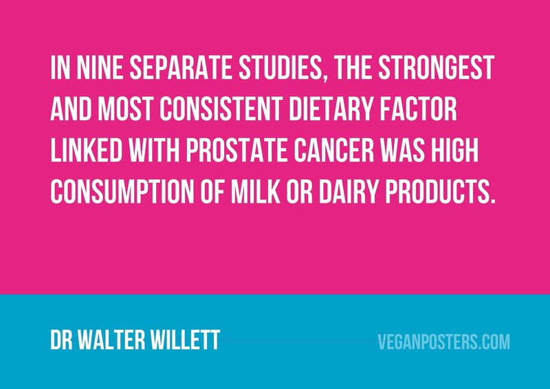 In nine separate studies, the strongest and most consistent dietary factor linked with prostate cancer was high consumption of milk or dairy products.