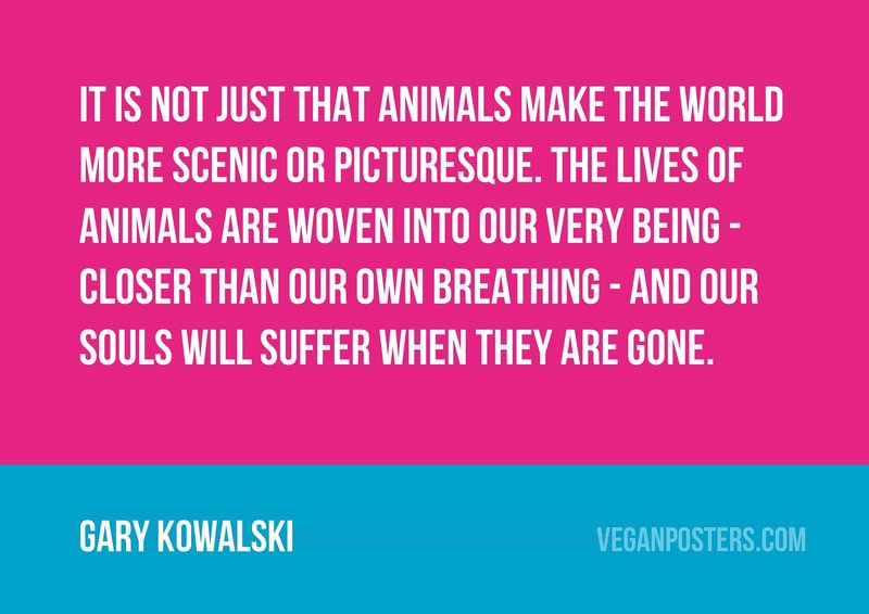 It is not just that animals make the world more scenic or picturesque. The lives of animals are woven into our very being - closer than our own breathing - and our souls will suffer when they are gone.