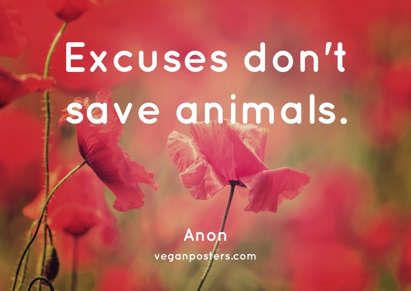 Excuses don't save animals.