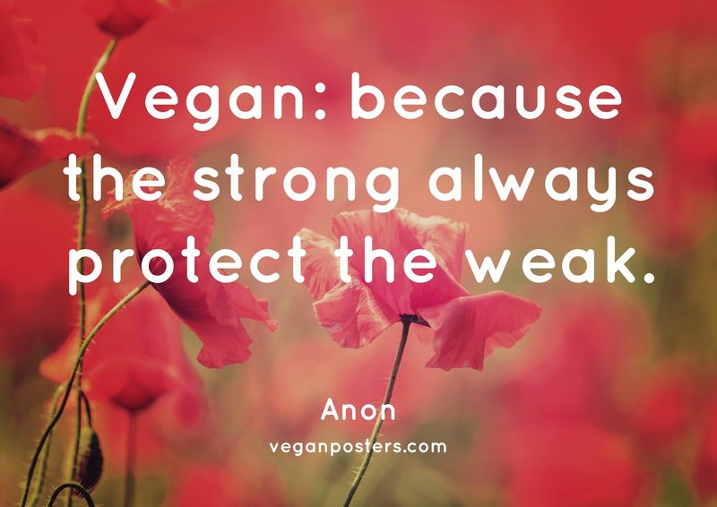 Vegan: because the strong always protect the weak.