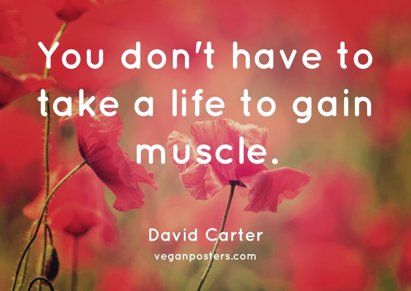 You don't have to take a life to gain muscle.