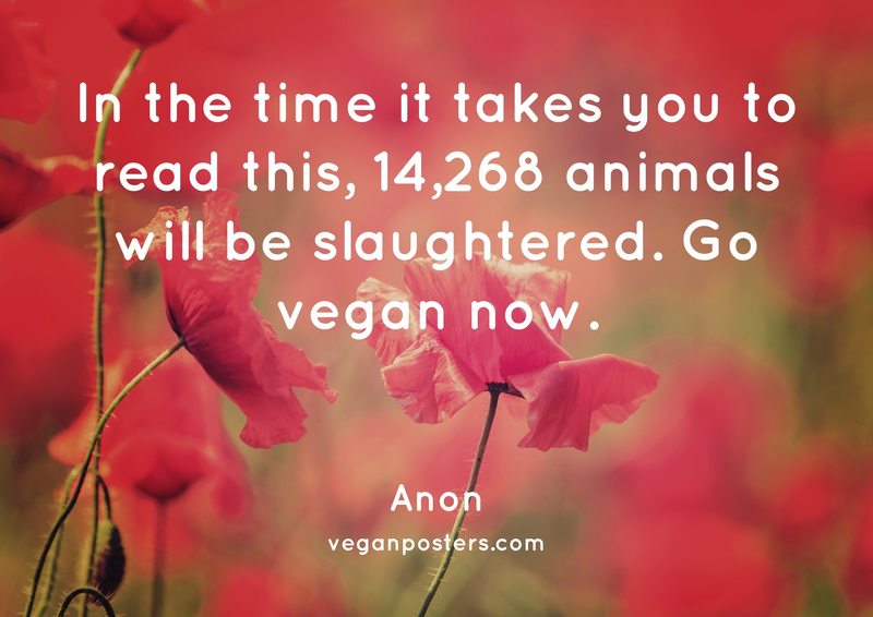 In the time it takes you to read this, 14,268 animals will be slaughtered. Go vegan now.