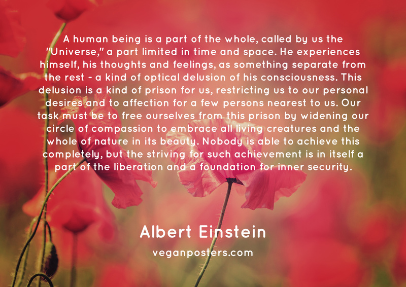 A human being is a part of the whole, called by us the "Universe," a part limited in time and space. He experiences himself, his thoughts and feelings, as something separate from the rest - a kind of optical delusion of his consciousness. This delusion is a kind of prison for us, restricting us to our personal desires and to affection for a few persons nearest to us. Our task must be to free ourselves from this prison by widening our circle of compassion to embrace all living creatures and the whole of nature in its beauty. Nobody is able to achieve this completely, but the striving for such achievement is in itself a part of the liberation and a foundation for inner security.
