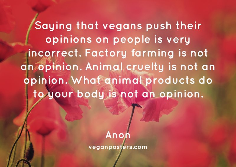 Saying that vegans push their opinions on people is very incorrect. Factory farming is not an opinion. Animal cruelty is not an opinion. What animal products do to your body is not an opinion.
