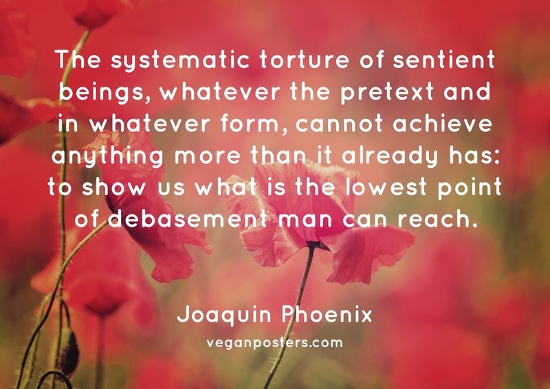 The systematic torture of sentient beings, whatever the pretext and in whatever form, cannot achieve anything more than it already has: to show us what is the lowest point of debasement man can reach.