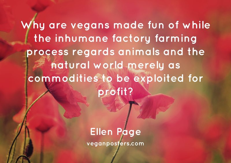 Why are vegans made fun of while the inhumane factory farming process regards animals and the natural world merely as commodities to be exploited for profit?