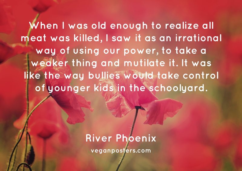 When I was old enough to realize all meat was killed, I saw it as an irrational way of using our power, to take a weaker thing and mutilate it. It was like the way bullies would take control of younger kids in the schoolyard.