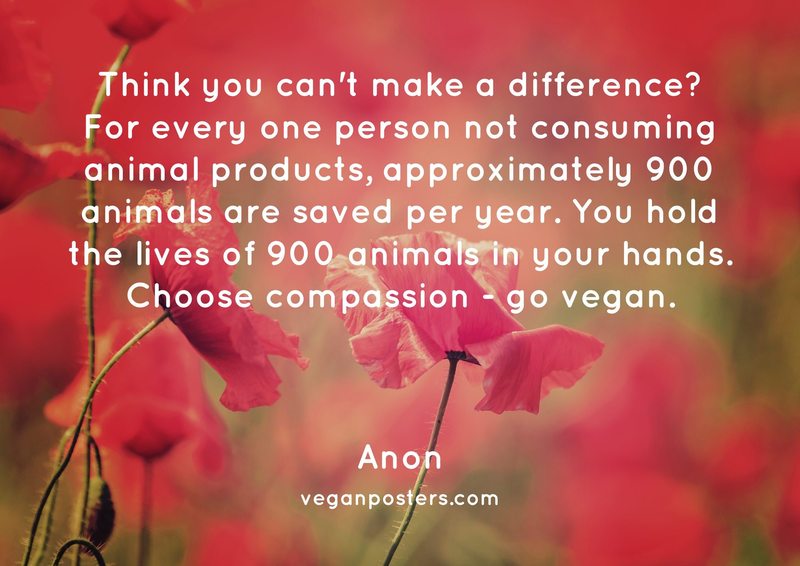 Think you can't make a difference? For every one person not consuming animal products, approximately 900 animals are saved per year. You hold the lives of 900 animals in your hands. Choose compassion - go vegan.