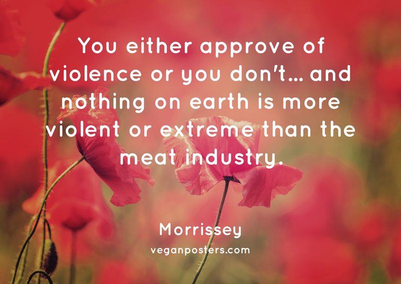 You either approve of violence or you don't... and nothing on earth is more violent or extreme than the meat industry.