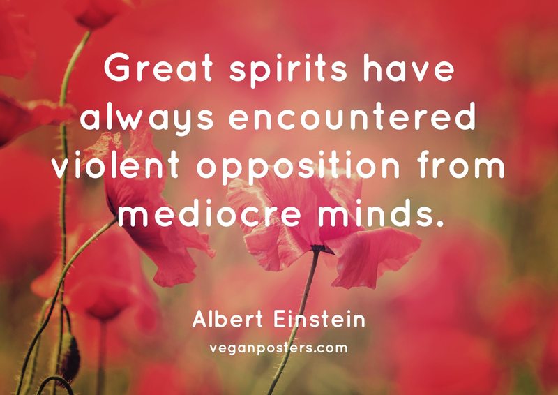 Great spirits have always encountered violent opposition from mediocre minds.