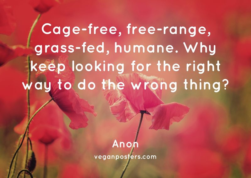 Cage-free, free-range, grass-fed, humane. Why keep looking for the right way to do the wrong thing?
