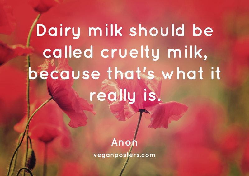 Dairy milk should be called cruelty milk, because that's what it really is.