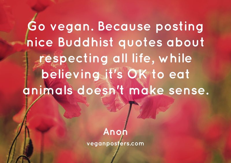 Go vegan. Because posting nice Buddhist quotes about respecting all life, while believing it's OK to eat animals doesn't make sense.