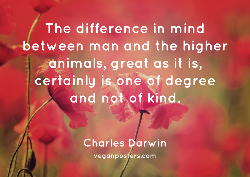 The difference in mind between man and the higher animals, great as it is, certainly is one of degree and not of kind.