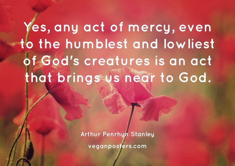 Yes, any act of mercy, even to the humblest and lowliest of God's creatures is an act that brings us near to God.