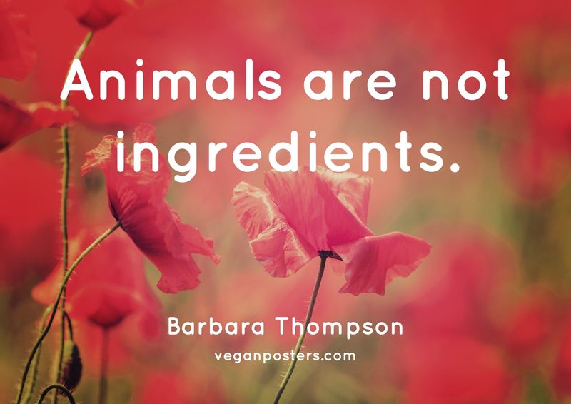 Animals are not ingredients.
