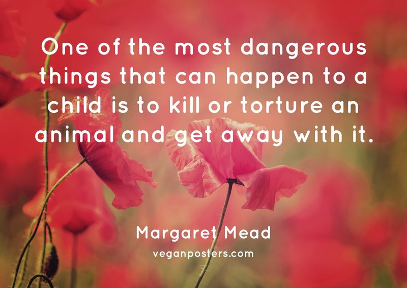 One of the most dangerous things that can happen to a child is to kill or torture an animal and get away with it.