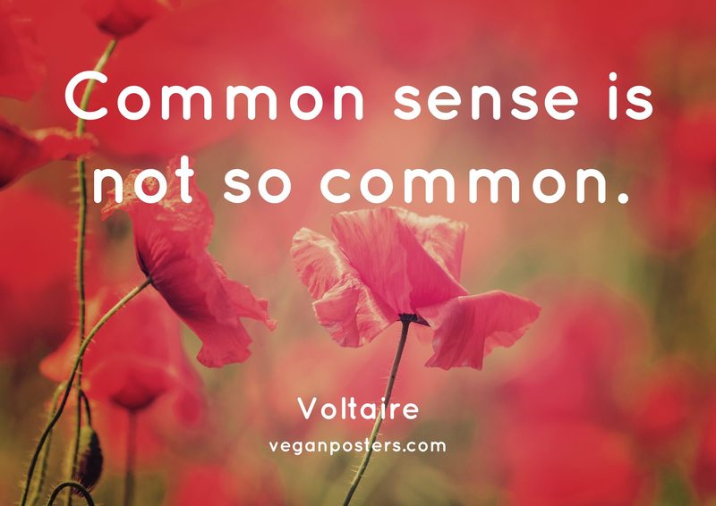 Common sense is not so common.