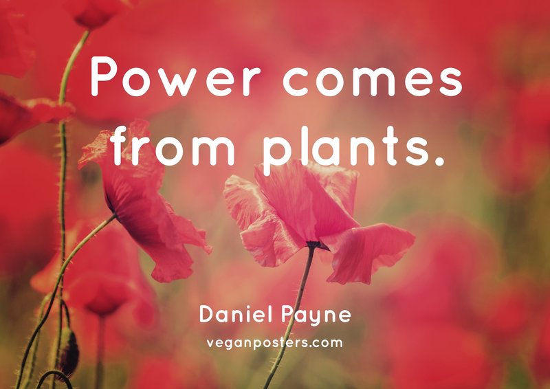 Power comes from plants.