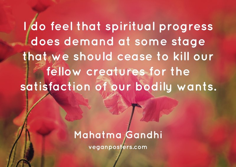 I do feel that spiritual progress does demand at some stage that we should cease to kill our fellow creatures for the satisfaction of our bodily wants.