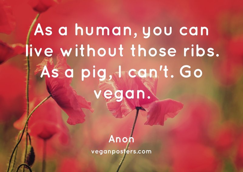 As a human, you can live without those ribs. As a pig, I can't. Go vegan.