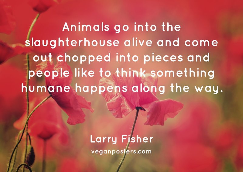 Animals go into the slaughterhouse alive and | Vegan Posters