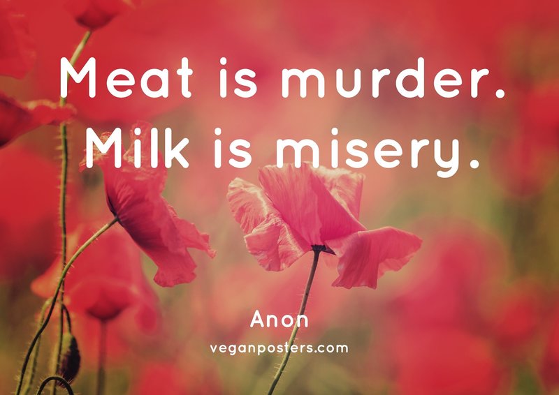 Meat is murder. Milk is misery.