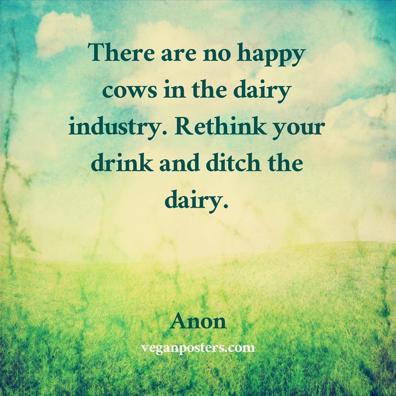 There are no happy cows in the dairy industry. Rethink your drink and ditch the dairy.