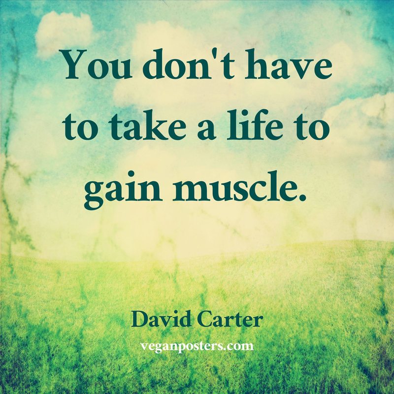You don't have to take a life to gain muscle.