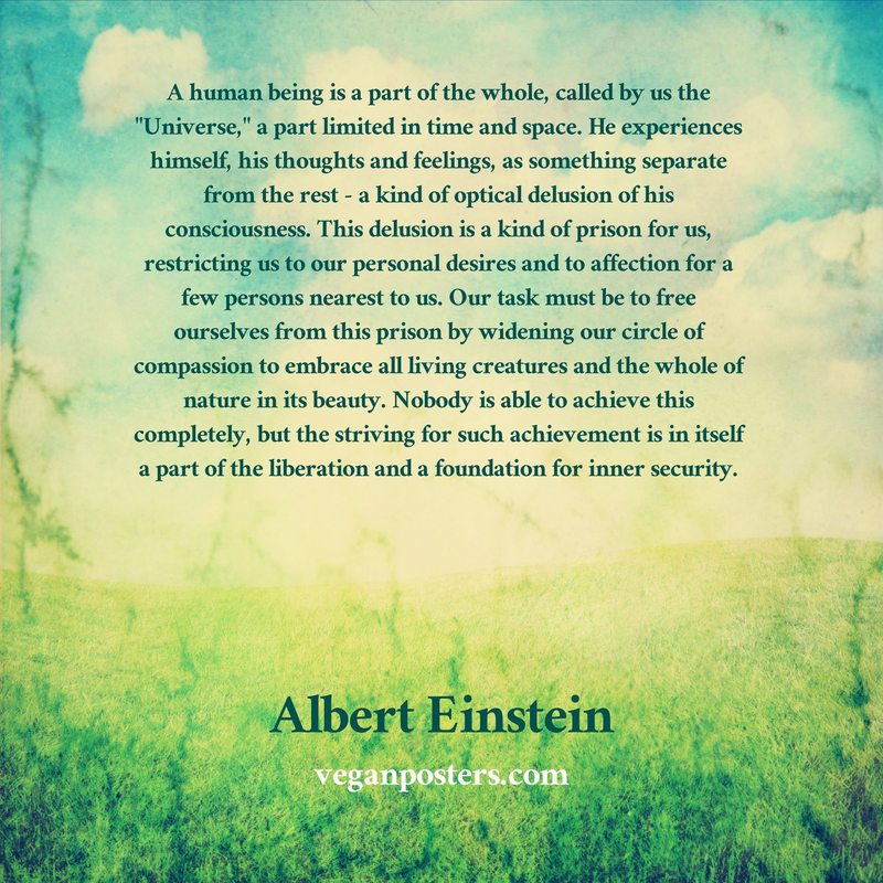 A human being is a part of the whole, called by us the "Universe," a part limited in time and space. He experiences himself, his thoughts and feelings, as something separate from the rest - a kind of optical delusion of his consciousness. This delusion is a kind of prison for us, restricting us to our personal desires and to affection for a few persons nearest to us. Our task must be to free ourselves from this prison by widening our circle of compassion to embrace all living creatures and the whole of nature in its beauty. Nobody is able to achieve this completely, but the striving for such achievement is in itself a part of the liberation and a foundation for inner security.
