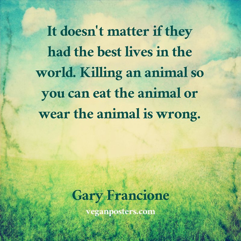 It doesn’t matter if they had the best lives in the world. Killing an animal so you can eat the animal or wear the animal is wrong.