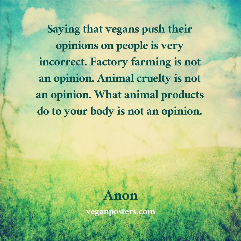 Saying that vegans push their opinions on people is very incorrect. Factory farming is not an opinion. Animal cruelty is not an opinion. What animal products do to your body is not an opinion.
